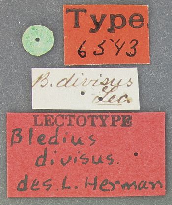 Media type: image;   Entomology 6543 Aspect: labels